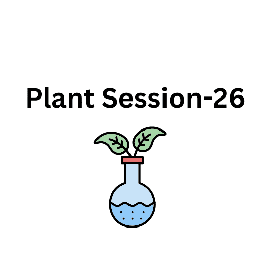 Plant Session-26